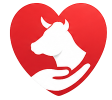 icon heart100