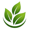 icon leaf100